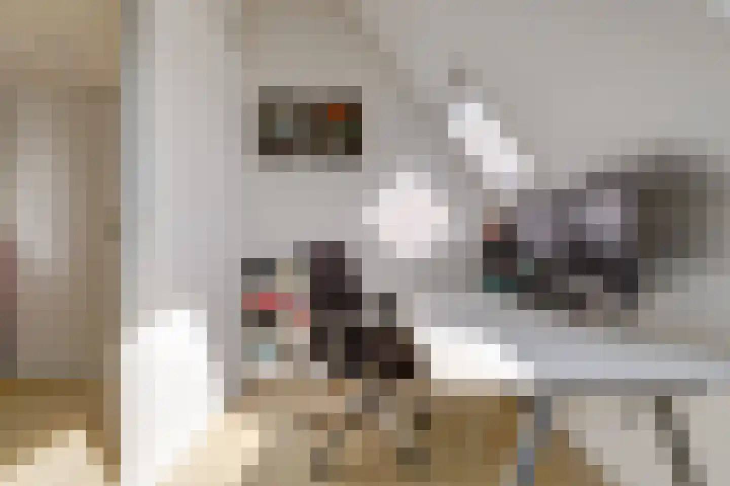 Tarbot 16 Ridderkerk thumbnail 39