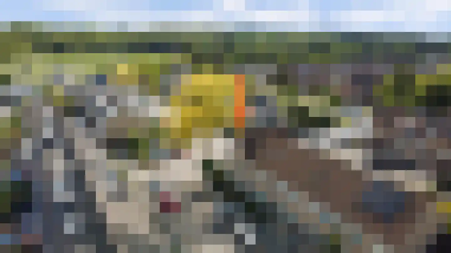 Tarbot 16 Ridderkerk thumbnail 46