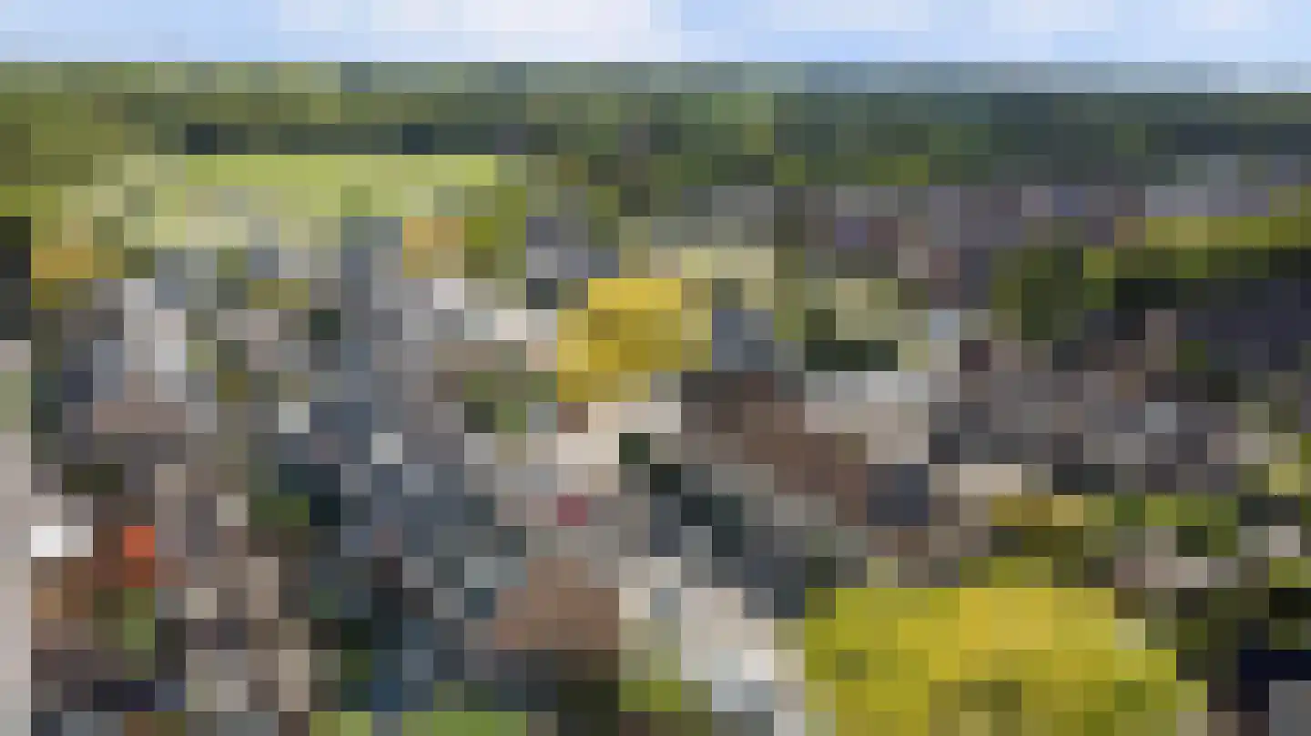 Tarbot 16 Ridderkerk thumbnail 48
