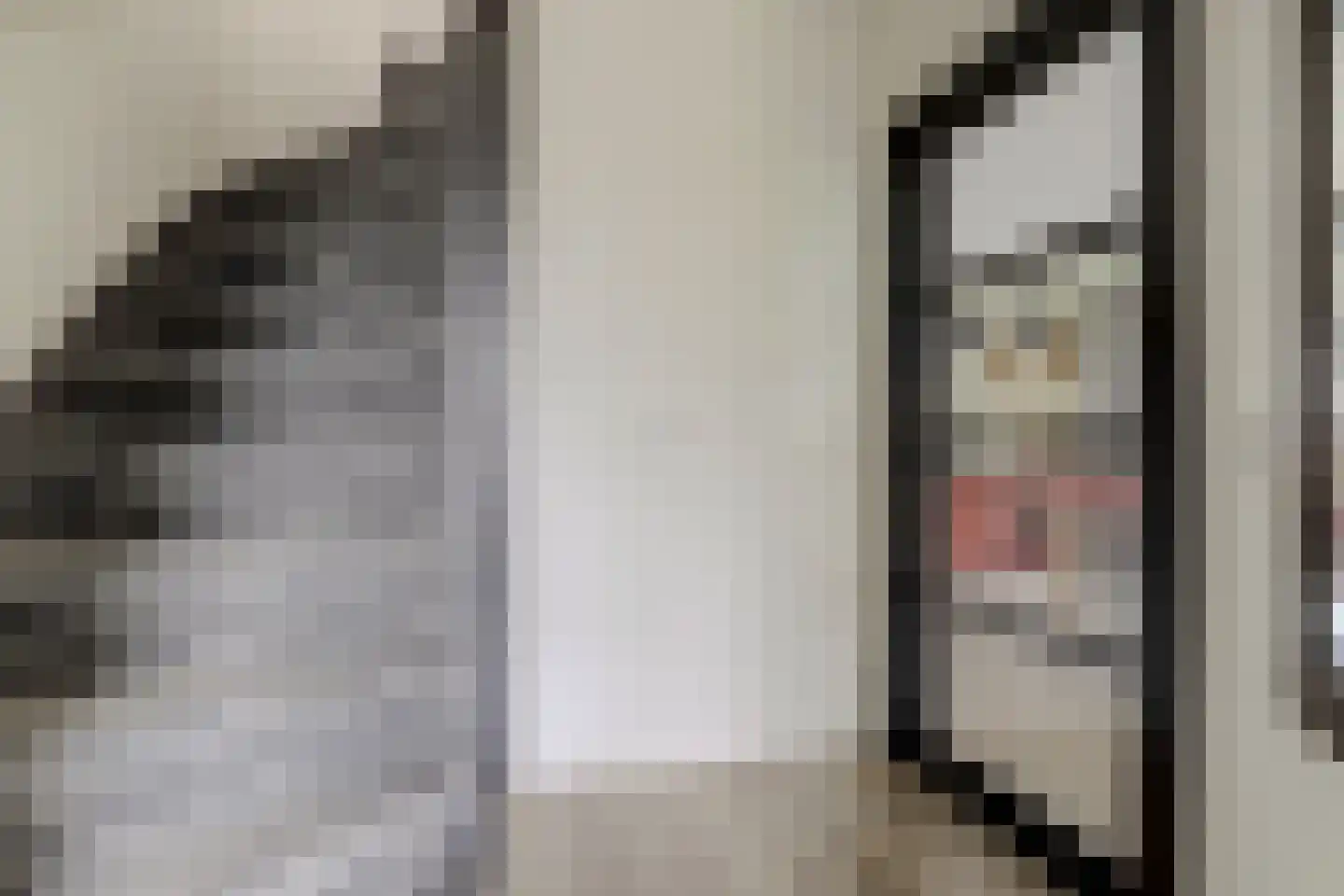 Tarbot 3 Ridderkerk thumbnail 8