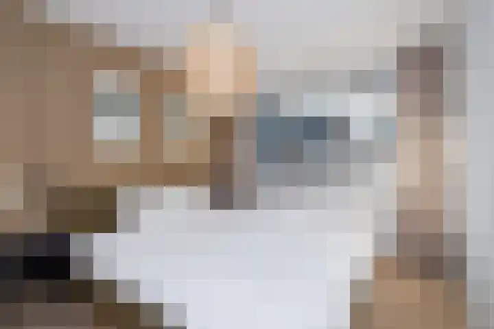 Tarbot 31 Ridderkerk thumbnail 23