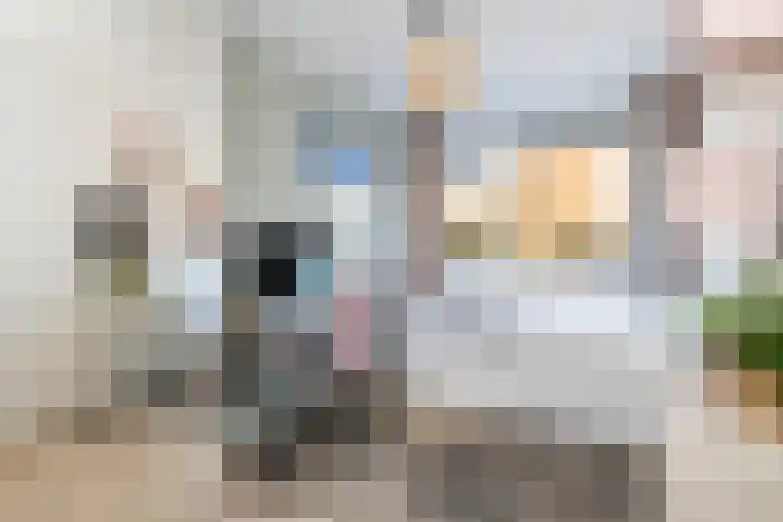 Tarbot 31 Ridderkerk thumbnail 27