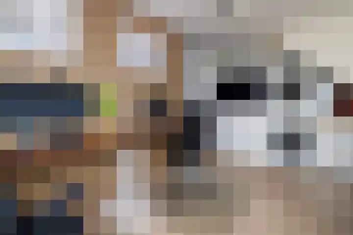 Tarbot 31 Ridderkerk thumbnail 32