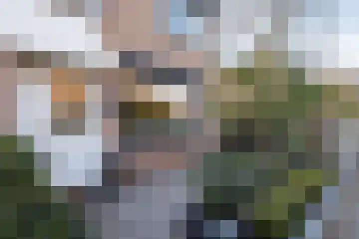 Tarbot 31 Ridderkerk thumbnail 33
