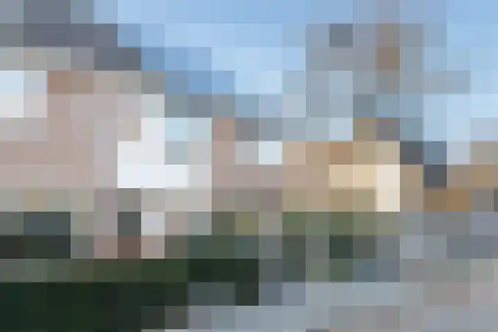 Tarbot 31 Ridderkerk thumbnail 34
