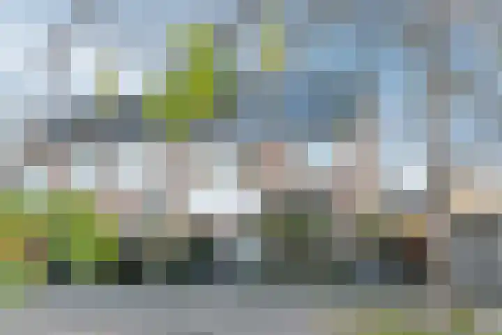Tarbot 31 Ridderkerk thumbnail 6