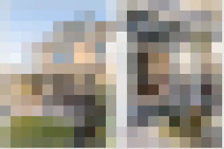 Tarbot 31 Ridderkerk thumbnail 9