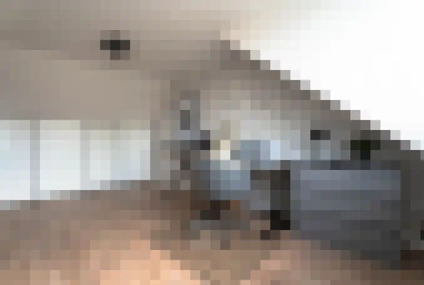 Tarbot 36 Ridderkerk thumbnail 30