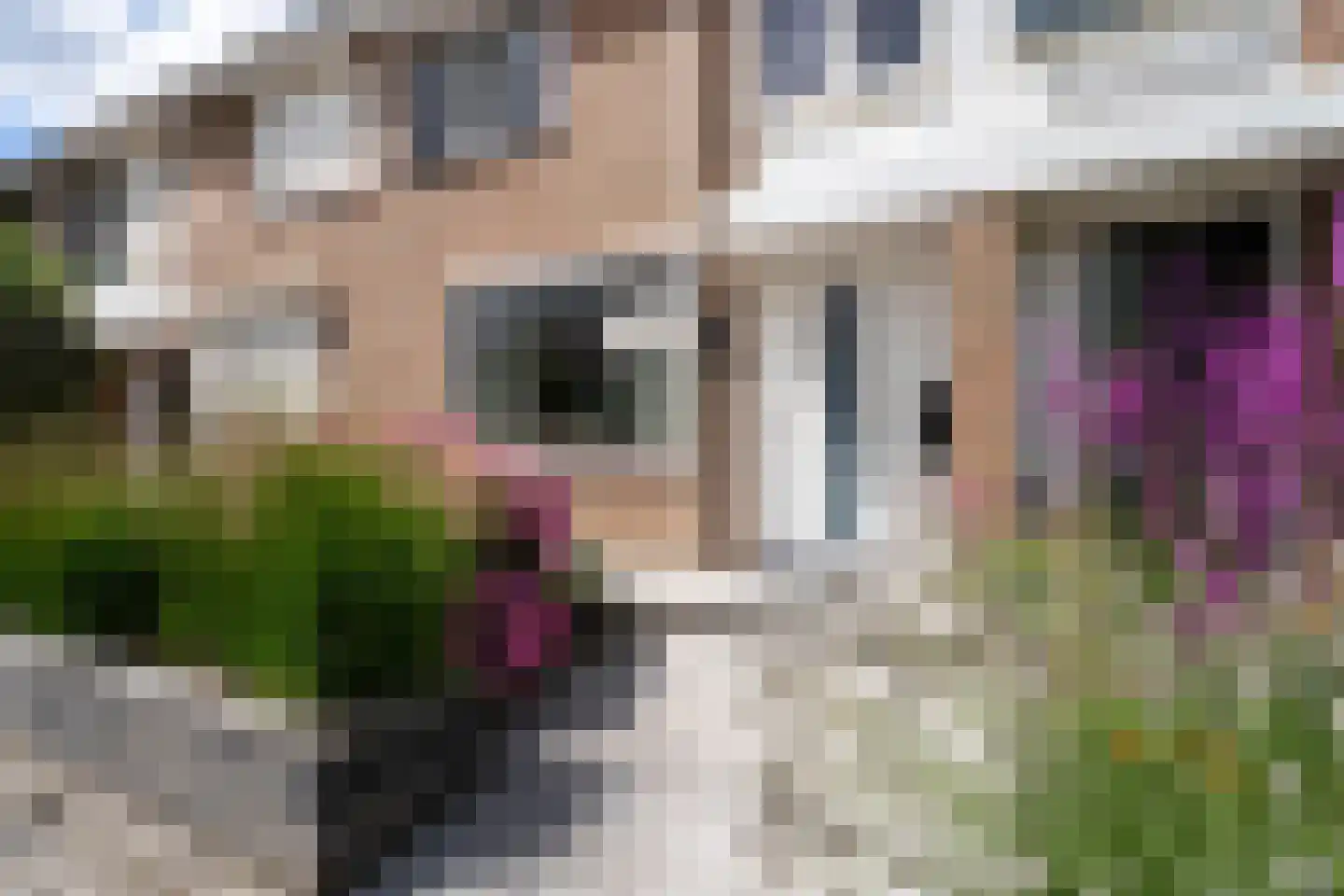 Tarbot 36 Ridderkerk thumbnail 7