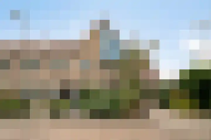 Tarbot 39 Ridderkerk