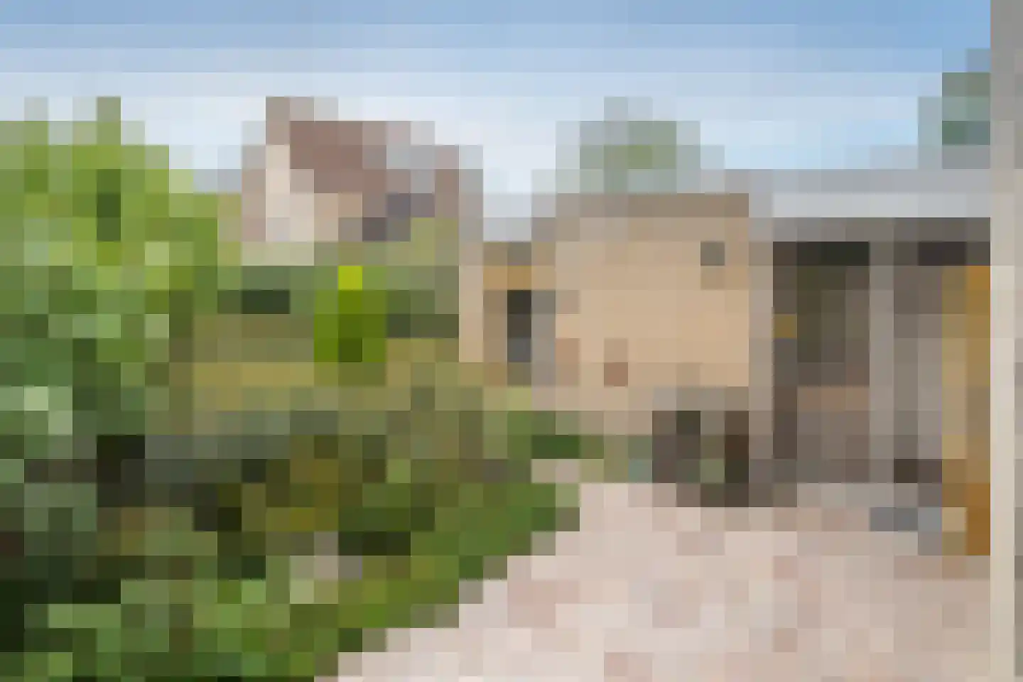 Tarbot 46 Ridderkerk thumbnail 10