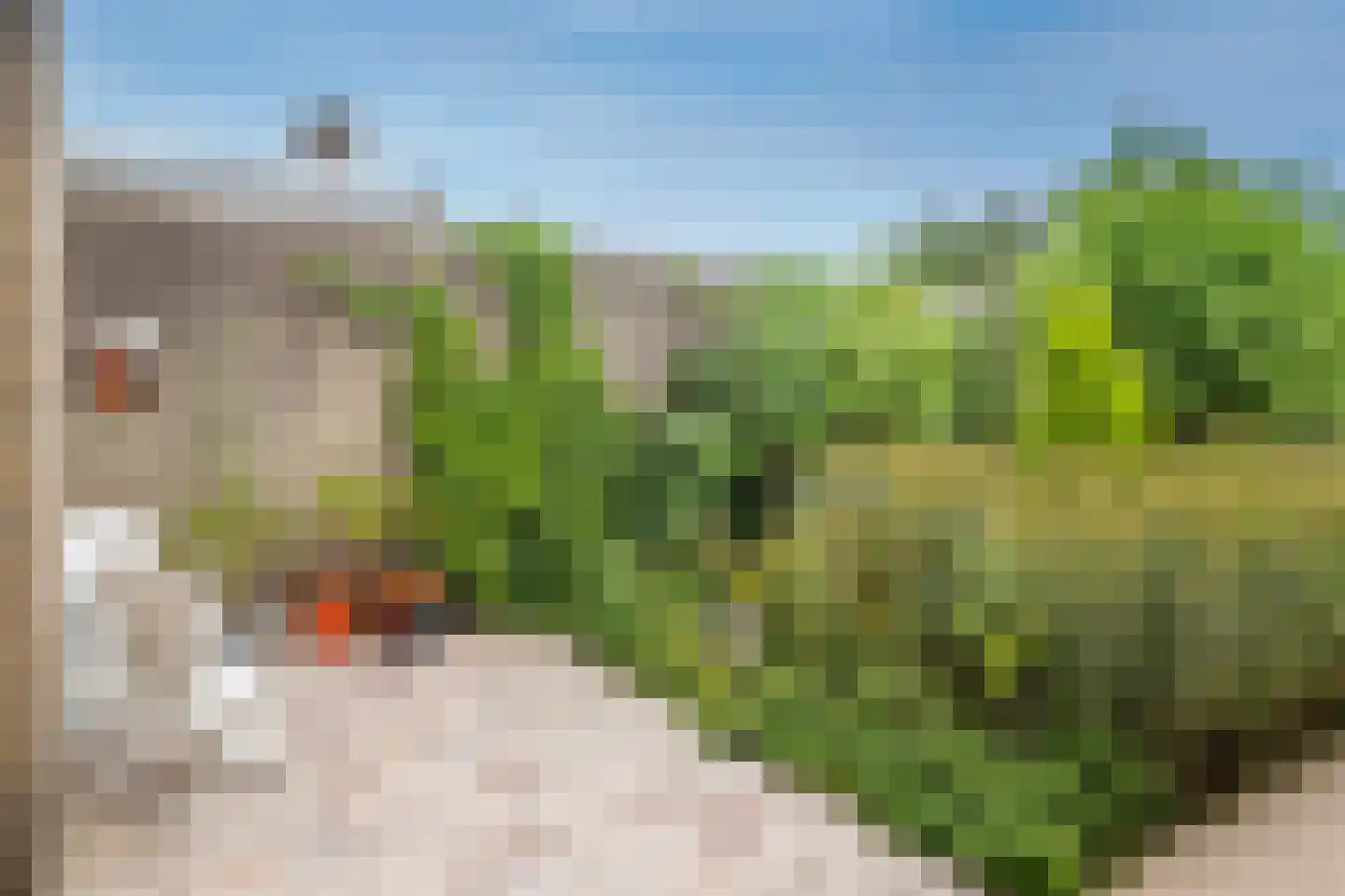 Tarbot 46 Ridderkerk thumbnail 11