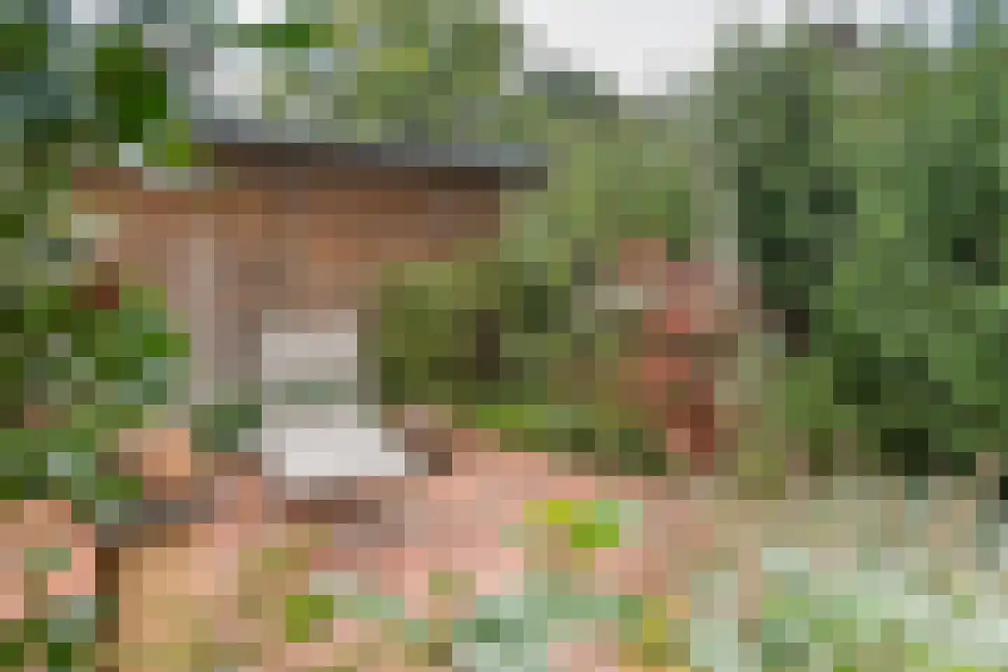 Tarbot 46 Ridderkerk thumbnail 13
