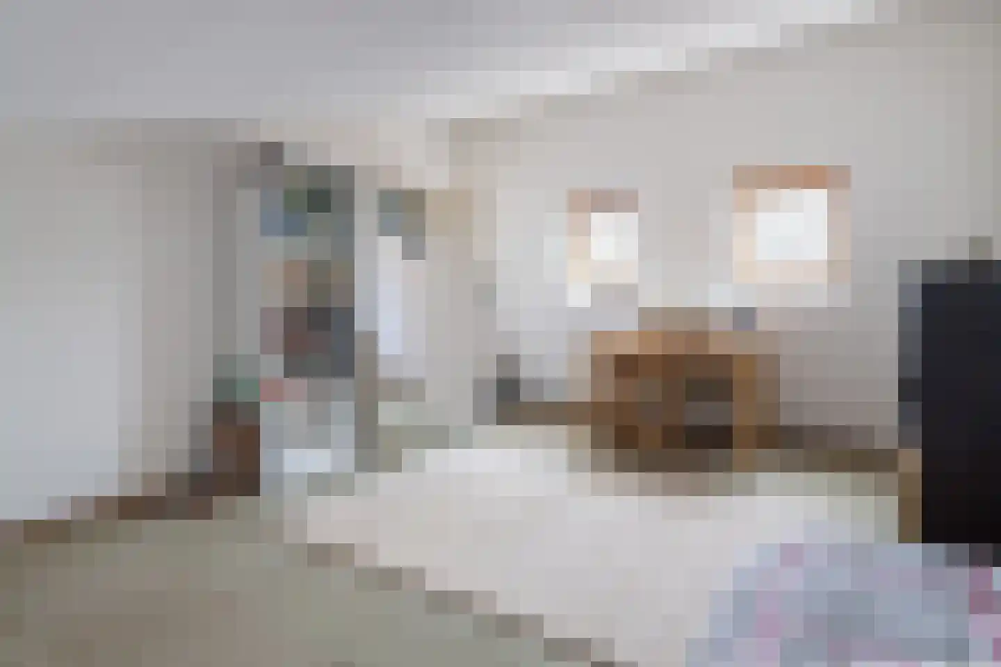 Tarbot 46 Ridderkerk thumbnail 25