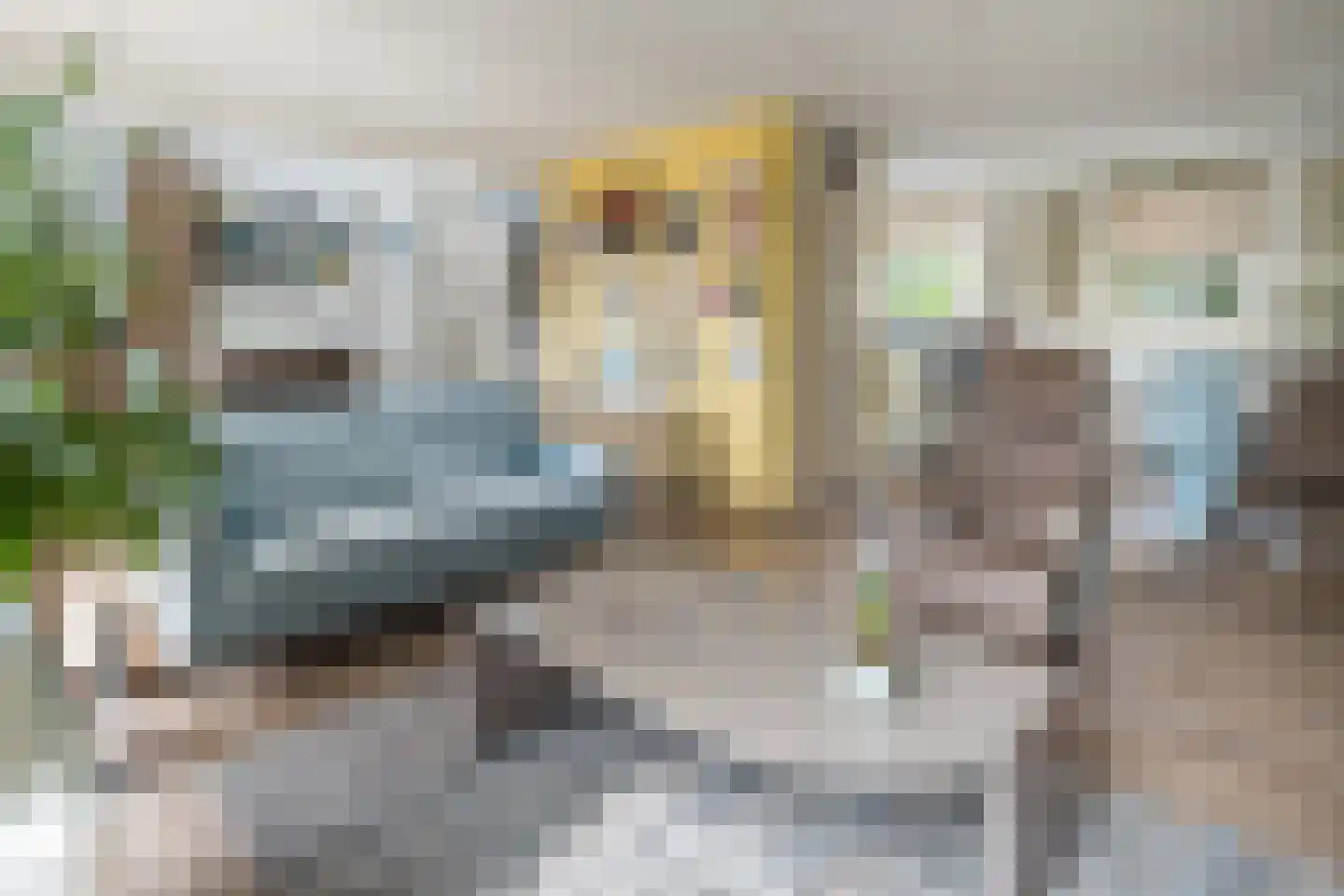 Tarbot 46 Ridderkerk thumbnail 9