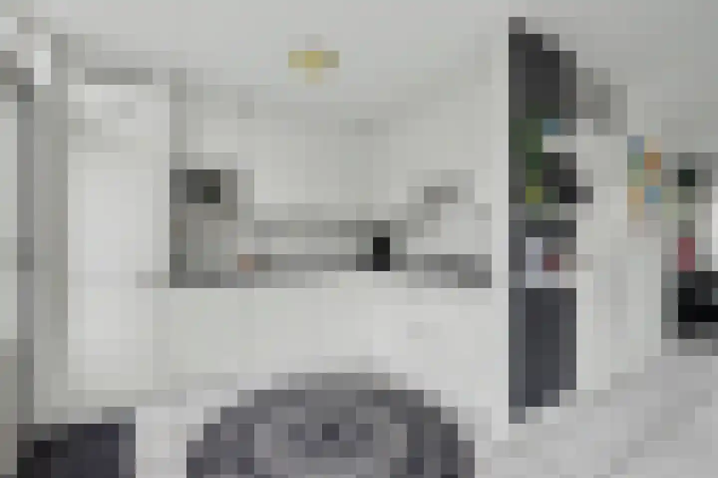 Tarbot 80 Ridderkerk thumbnail 13