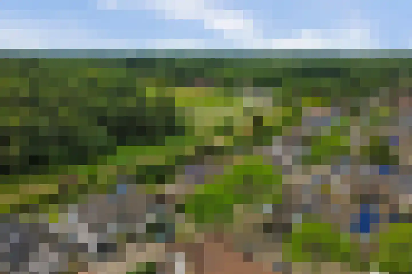 Tarbot 80 Ridderkerk thumbnail 39