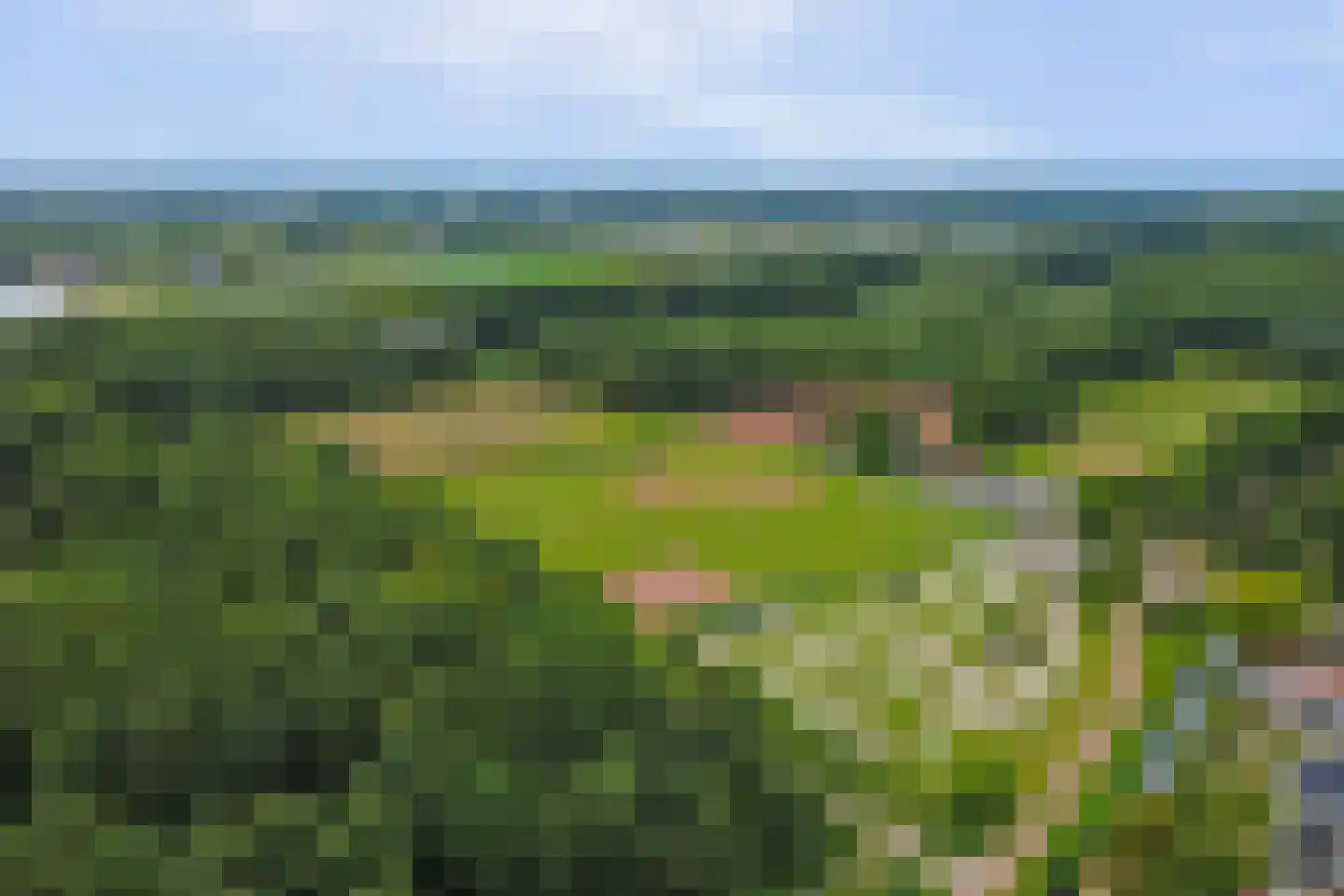Tarbot 80 Ridderkerk thumbnail 41