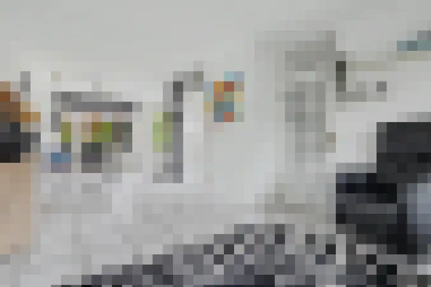 Tarbot 80 Ridderkerk thumbnail 9