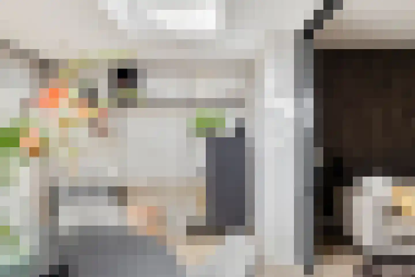 Tarbotstraat 5 Helmond thumbnail 18