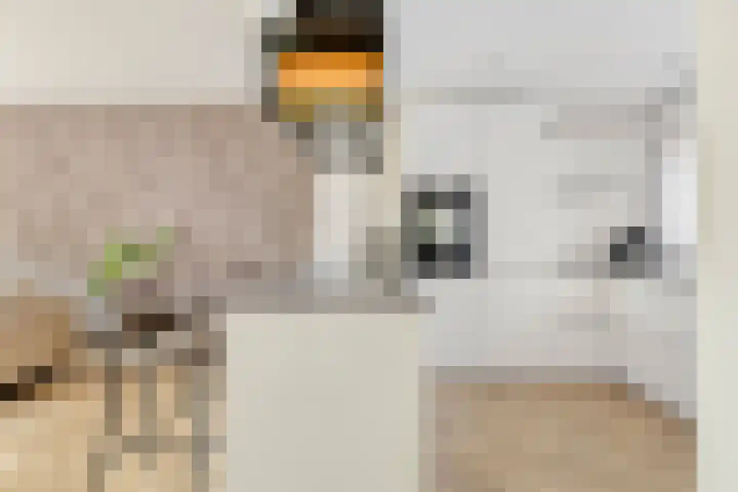 Tarbotstraat 5 Helmond thumbnail 21