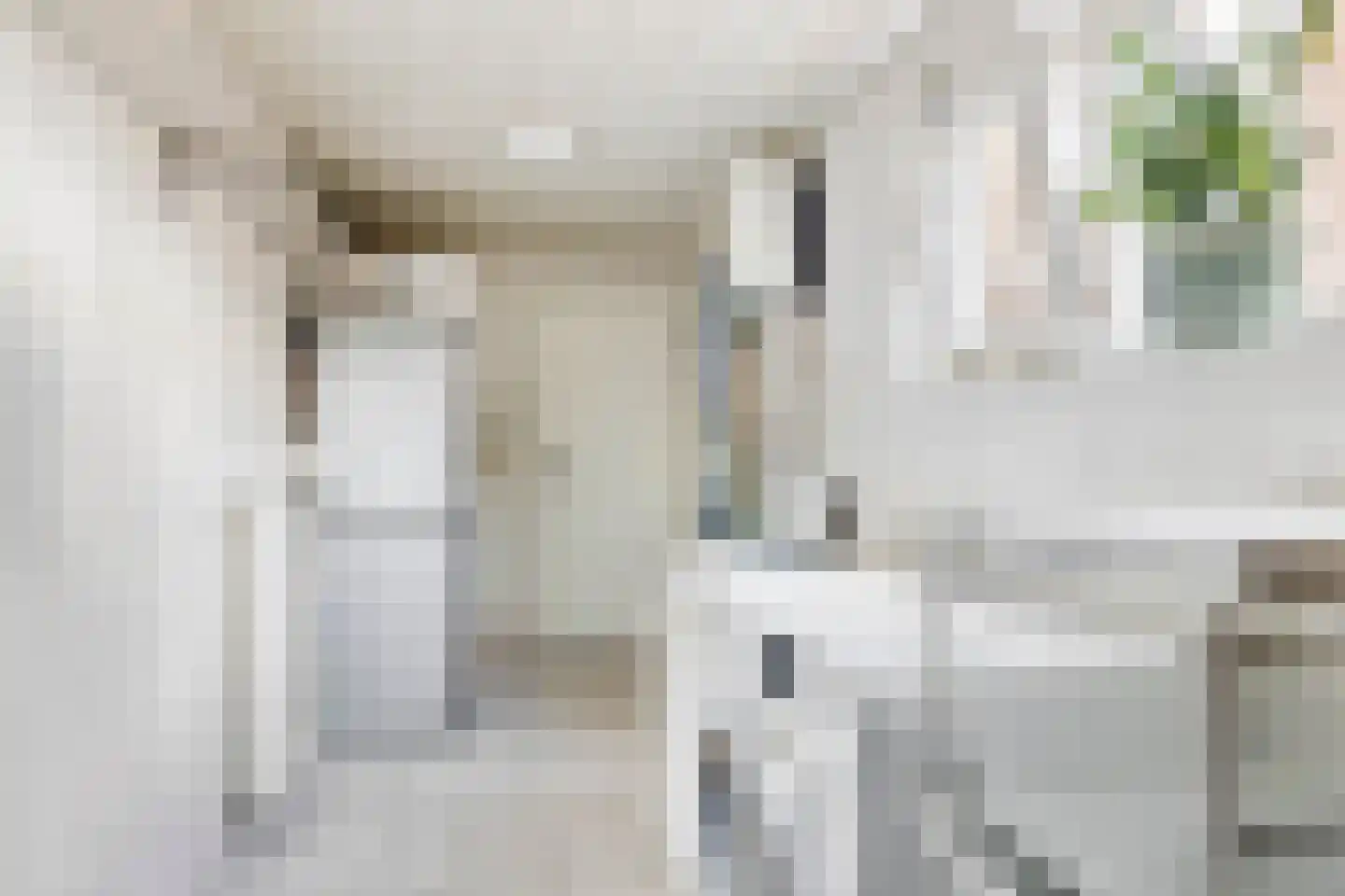 Tarbotstraat 5 Helmond thumbnail 28
