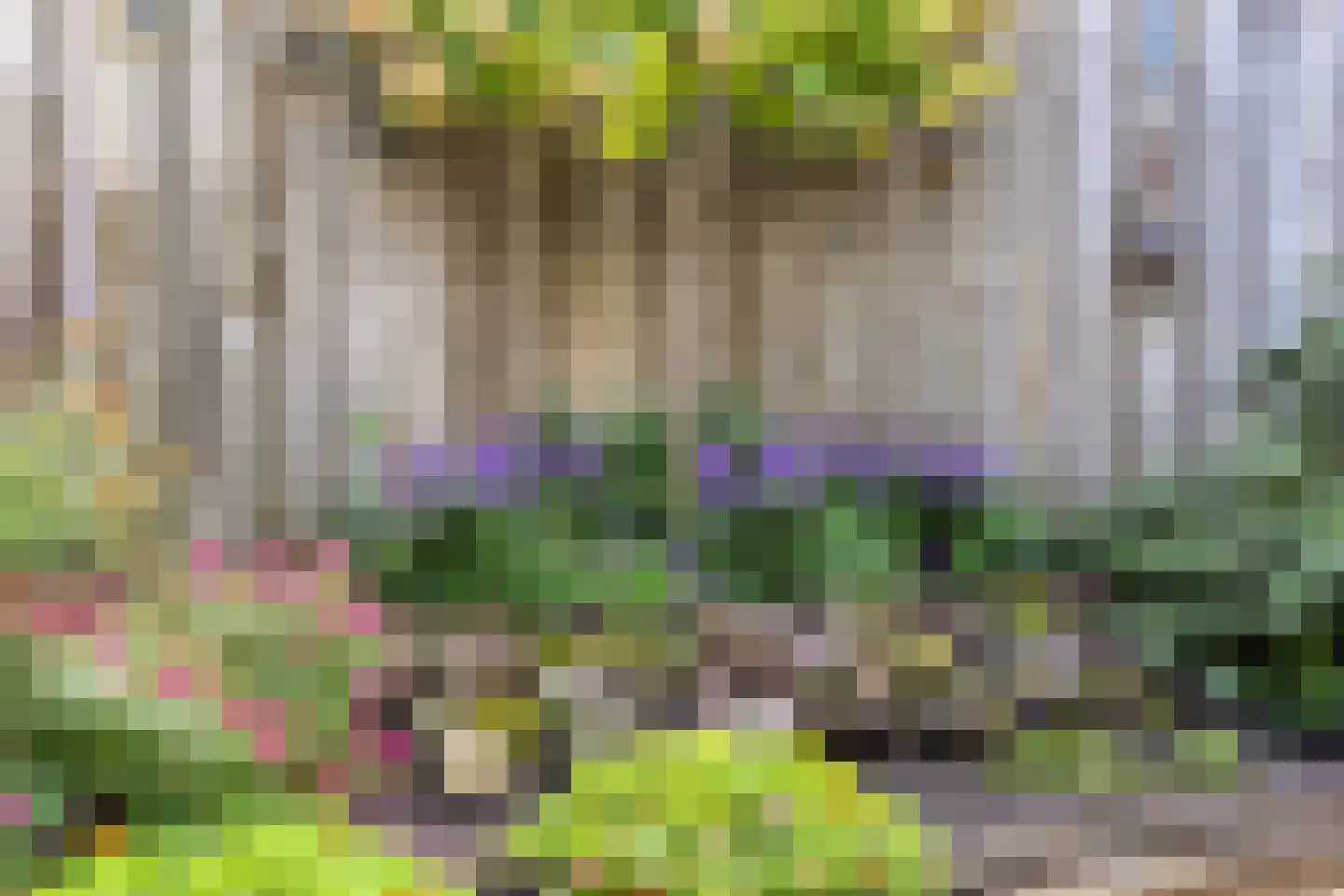 Tarbotstraat 5 Helmond thumbnail 45