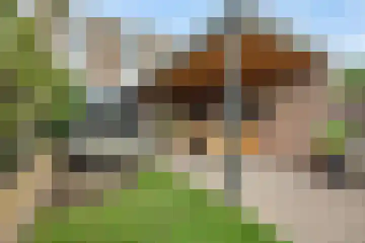 Tarbotstraat 8 Helmond thumbnail 32