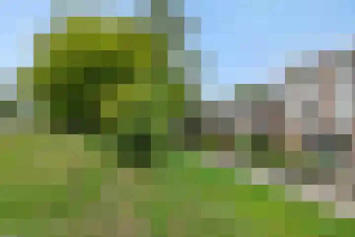 Tarbotstraat 8 Helmond thumbnail 7