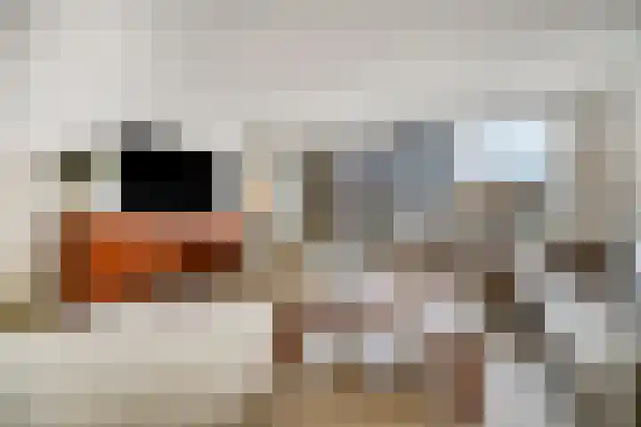 Tarnstroom 17 Zoetermeer thumbnail 10