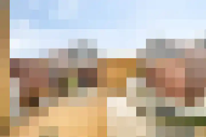 Tarnstroom 17 Zoetermeer thumbnail 12