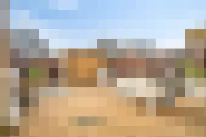 Tarnstroom 17 Zoetermeer thumbnail 13