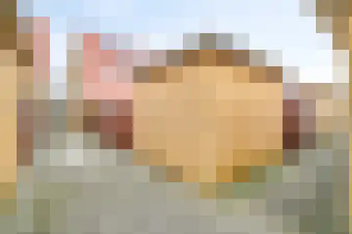 Tarnstroom 17 Zoetermeer thumbnail 14