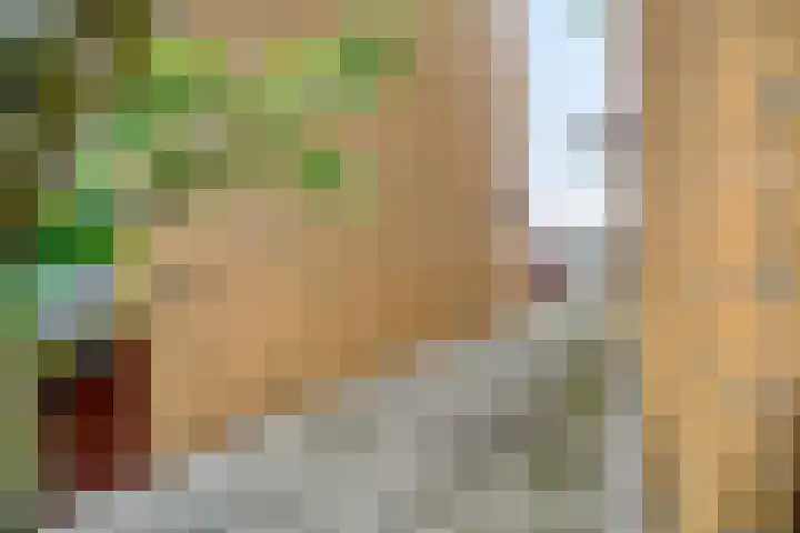 Tarnstroom 17 Zoetermeer thumbnail 15