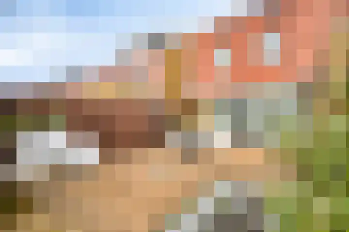 Tarnstroom 17 Zoetermeer thumbnail 17