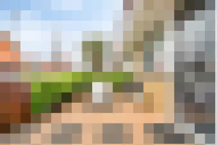Tarnstroom 17 Zoetermeer thumbnail 19