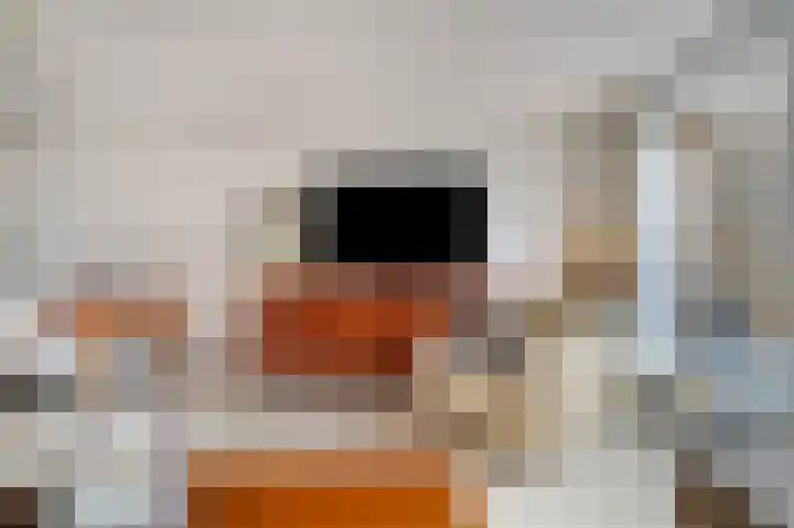 Tarnstroom 17 Zoetermeer thumbnail 21