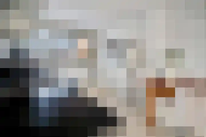 Tarnstroom 17 Zoetermeer thumbnail 24