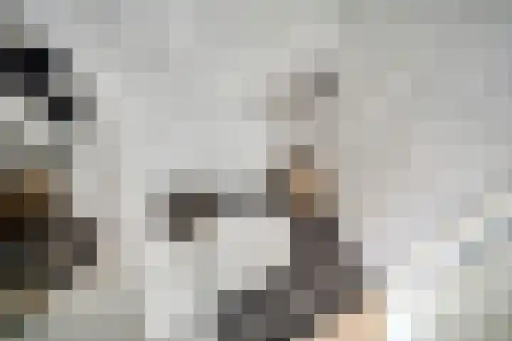 Tarnstroom 17 Zoetermeer thumbnail 27