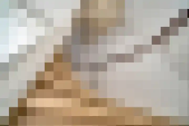 Tarnstroom 17 Zoetermeer thumbnail 29