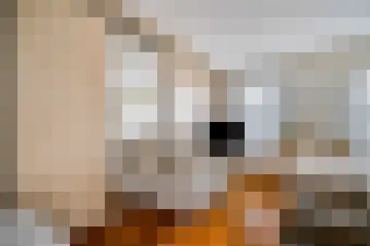 Tarnstroom 17 Zoetermeer thumbnail 31