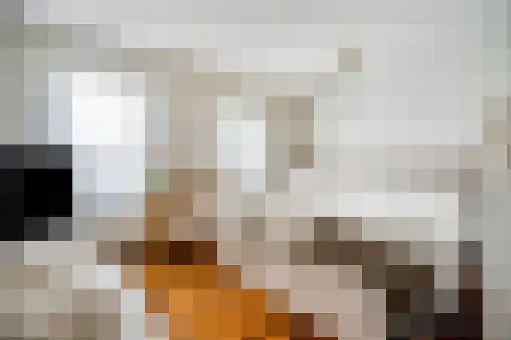Tarnstroom 17 Zoetermeer thumbnail 32