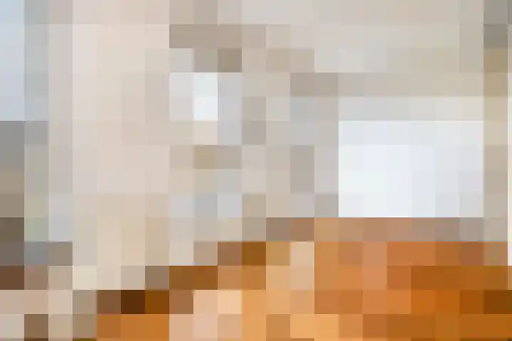 Tarnstroom 17 Zoetermeer thumbnail 37