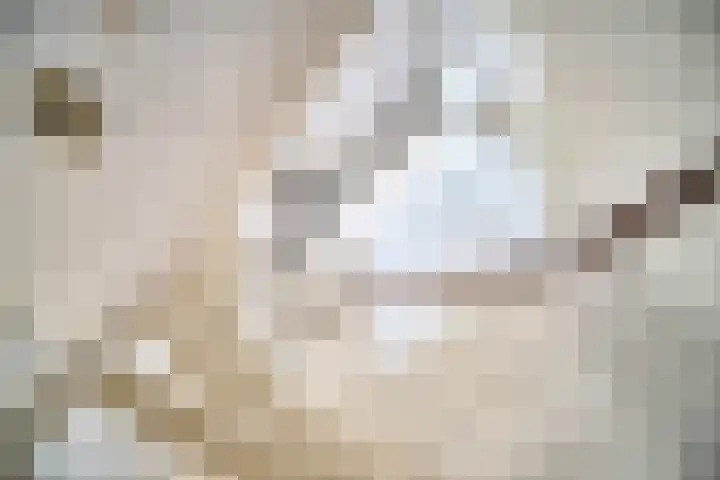 Tarnstroom 17 Zoetermeer thumbnail 42