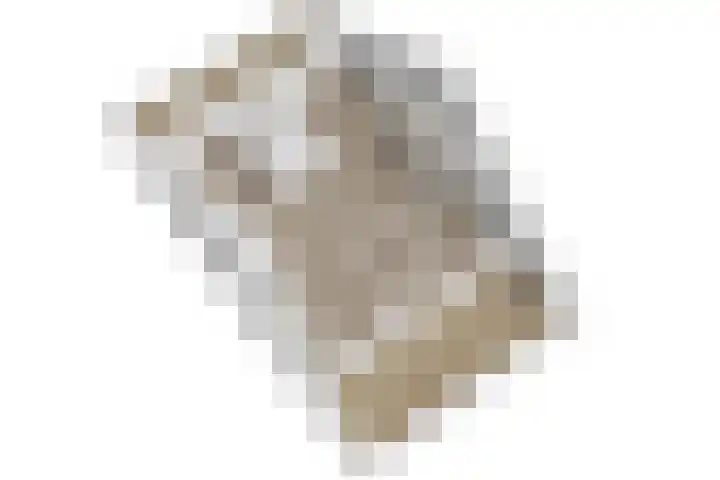 Tarnstroom 17 Zoetermeer thumbnail 54
