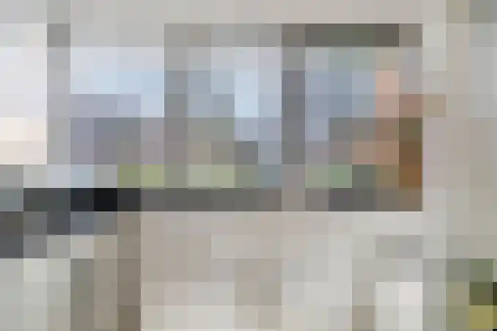 Tarnstroom 17 Zoetermeer thumbnail 6