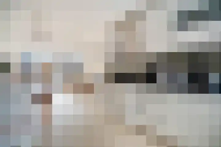 Tarnstroom 17 Zoetermeer thumbnail 7
