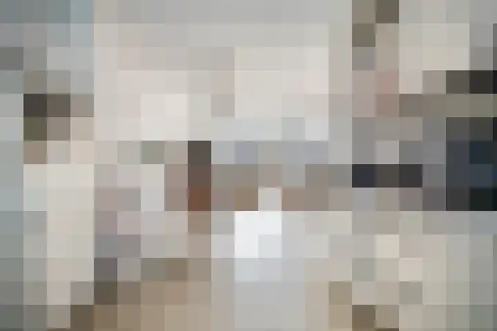 Tarnstroom 17 Zoetermeer thumbnail 8