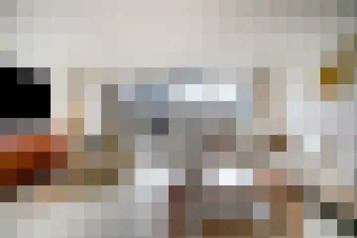 Tarnstroom 17 Zoetermeer thumbnail 9