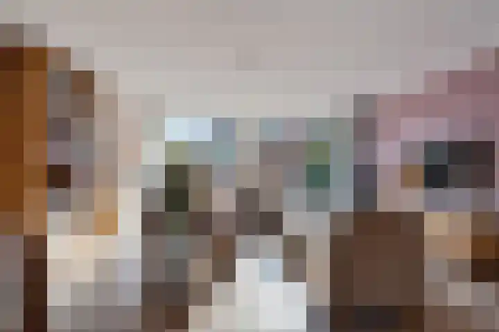Tarnstroom 25 Zoetermeer thumbnail 11